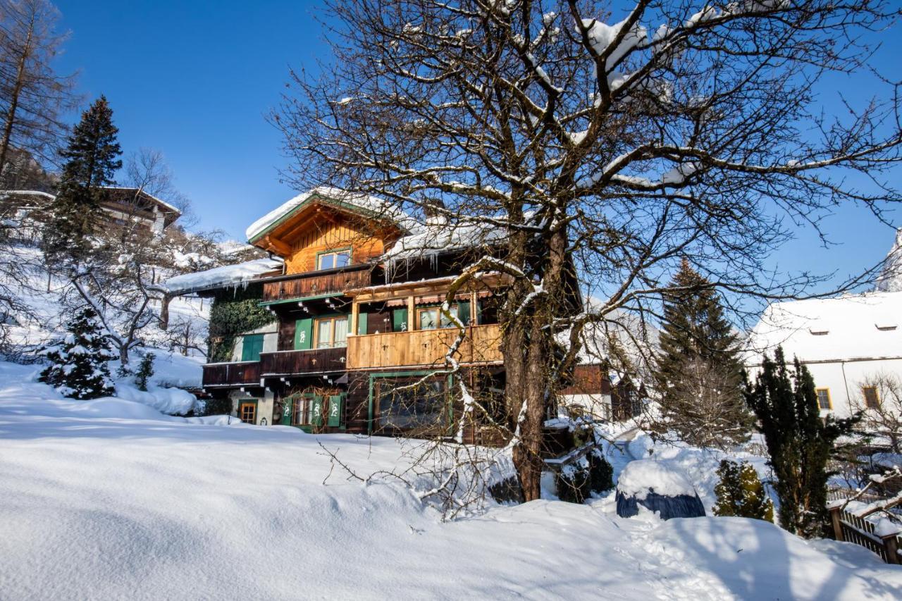 Haus Weidmannsheil - Wohnen Im Romantischen Forsthaus Werfen Extérieur photo