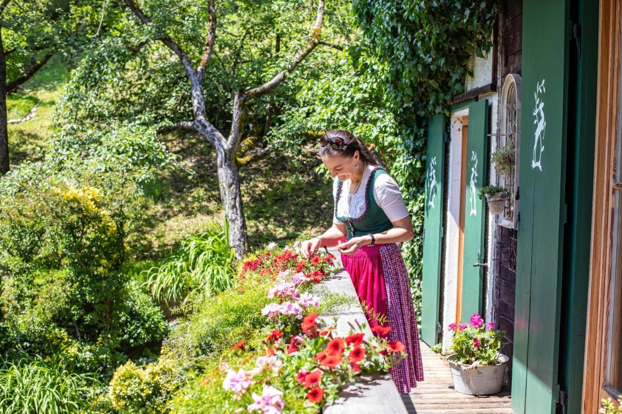 Haus Weidmannsheil - Wohnen Im Romantischen Forsthaus Werfen Extérieur photo